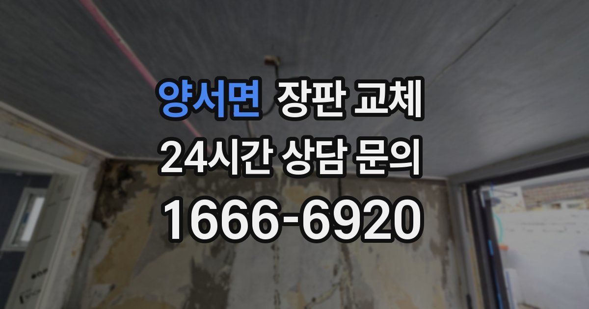 양서면 장판 교체