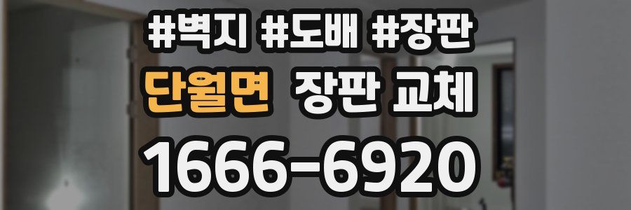 단월면 장판 교체