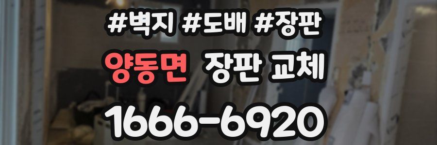 양동면 장판 교체