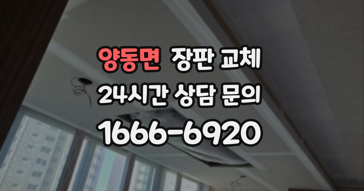 양동면 장판 교체