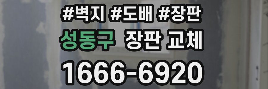 성동구 장판 교체
