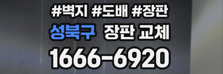 성북구 장판 교체