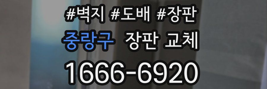 중랑구 장판 교체