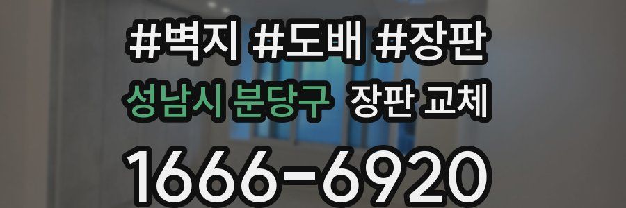 성남시 분당구 장판 교체