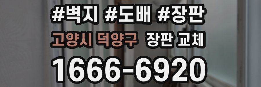 고양시 덕양구 장판 교체