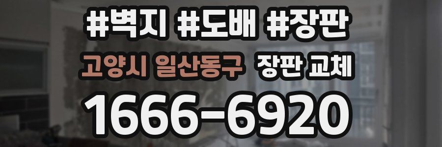 고양시 일산동구 장판 교체