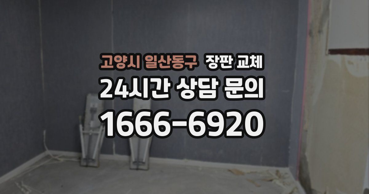 고양시 일산동구 장판 교체