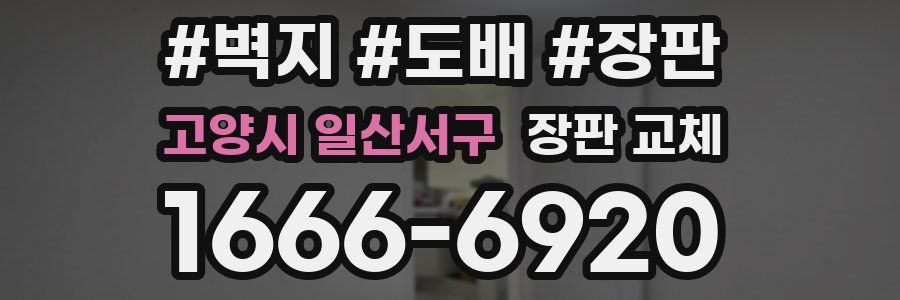 고양시 일산서구 장판 교체