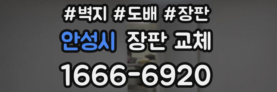안성시 장판 교체