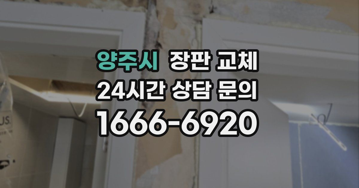 양주시 장판 교체