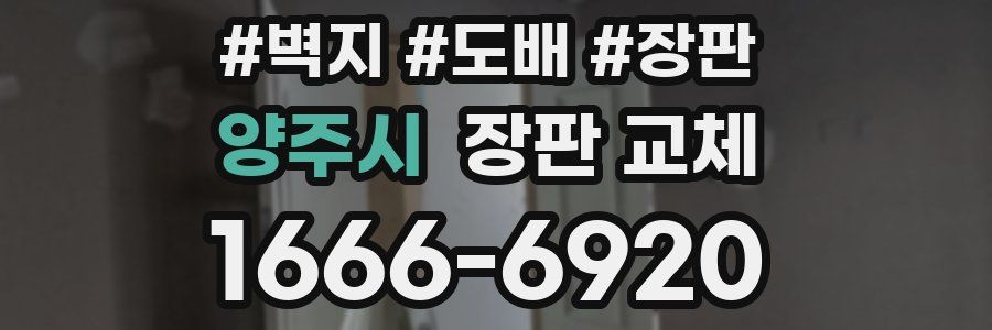 양주시 장판 교체