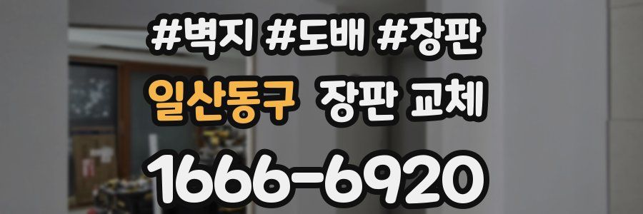 일산동구 장판 교체