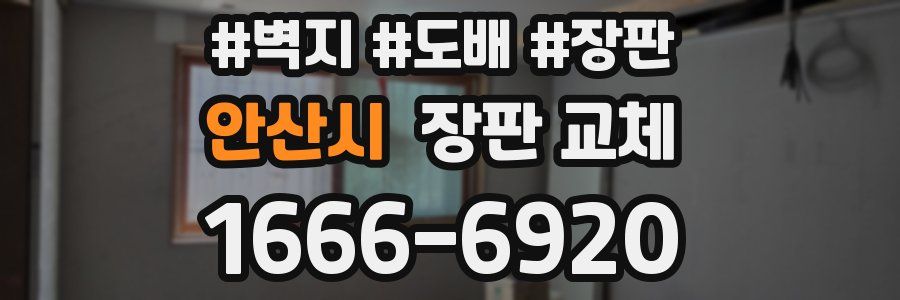 안산시 장판 교체