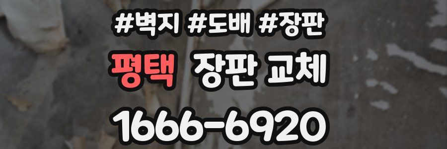 평택 장판 교체