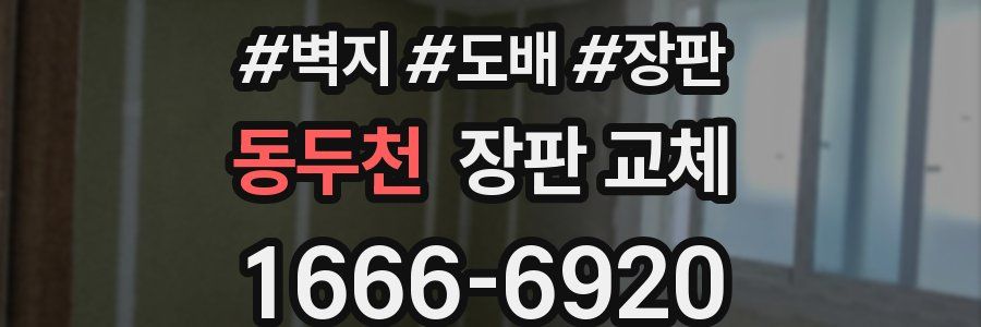 동두천 장판 교체