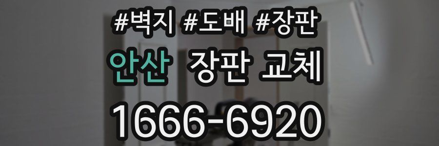 안산 장판 교체
