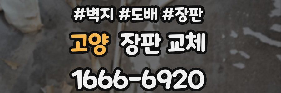 고양 장판 교체