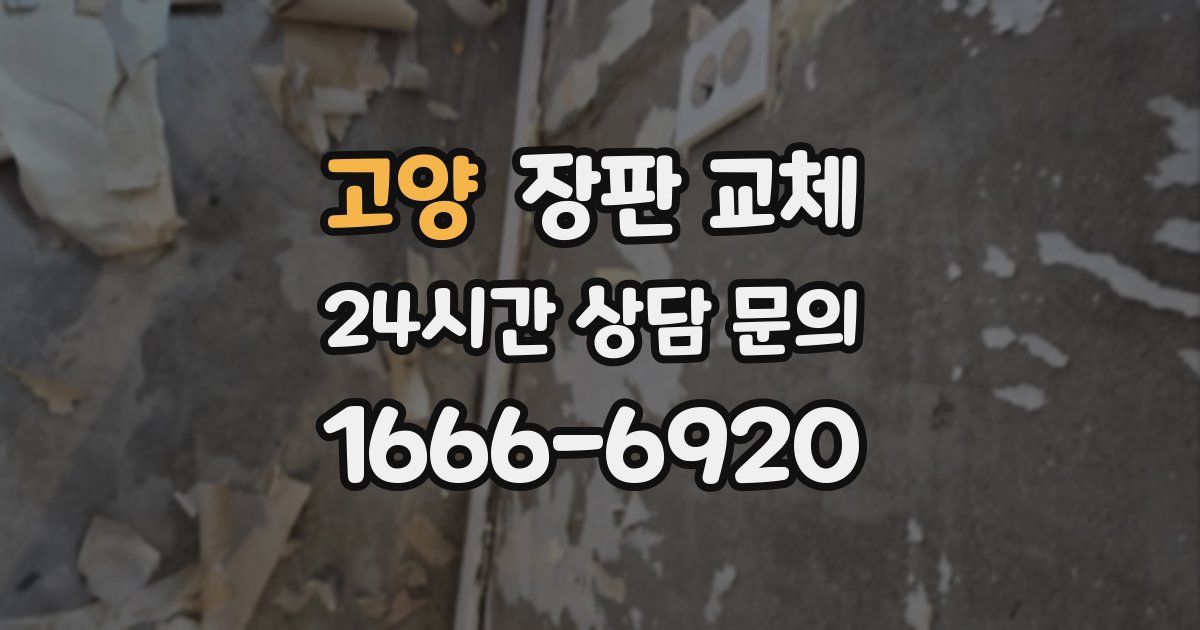 고양 장판 교체