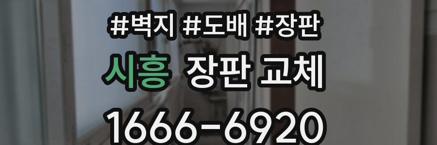 시흥 장판 교체