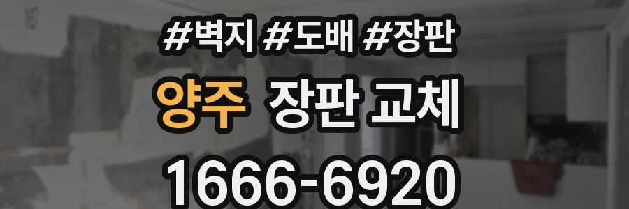 양주 장판 교체