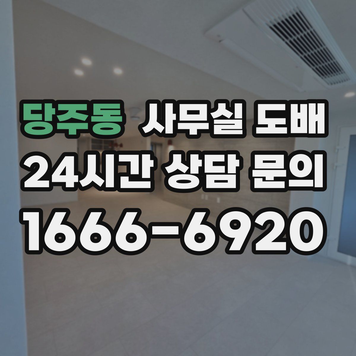 당주동 사무실 도배