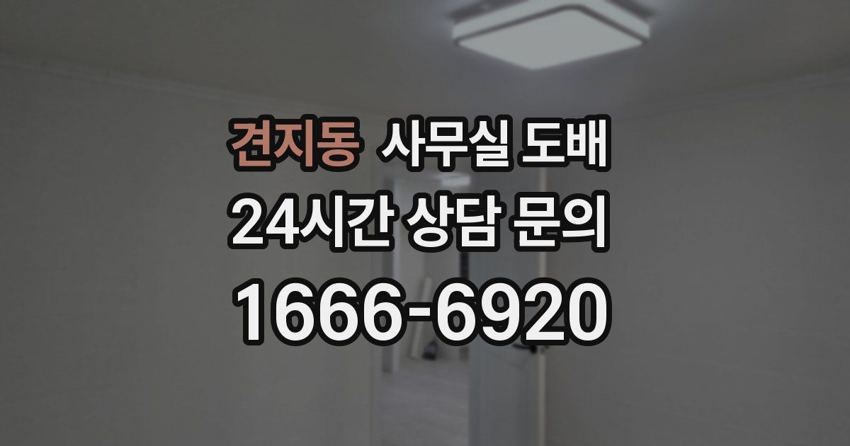 견지동 사무실 도배