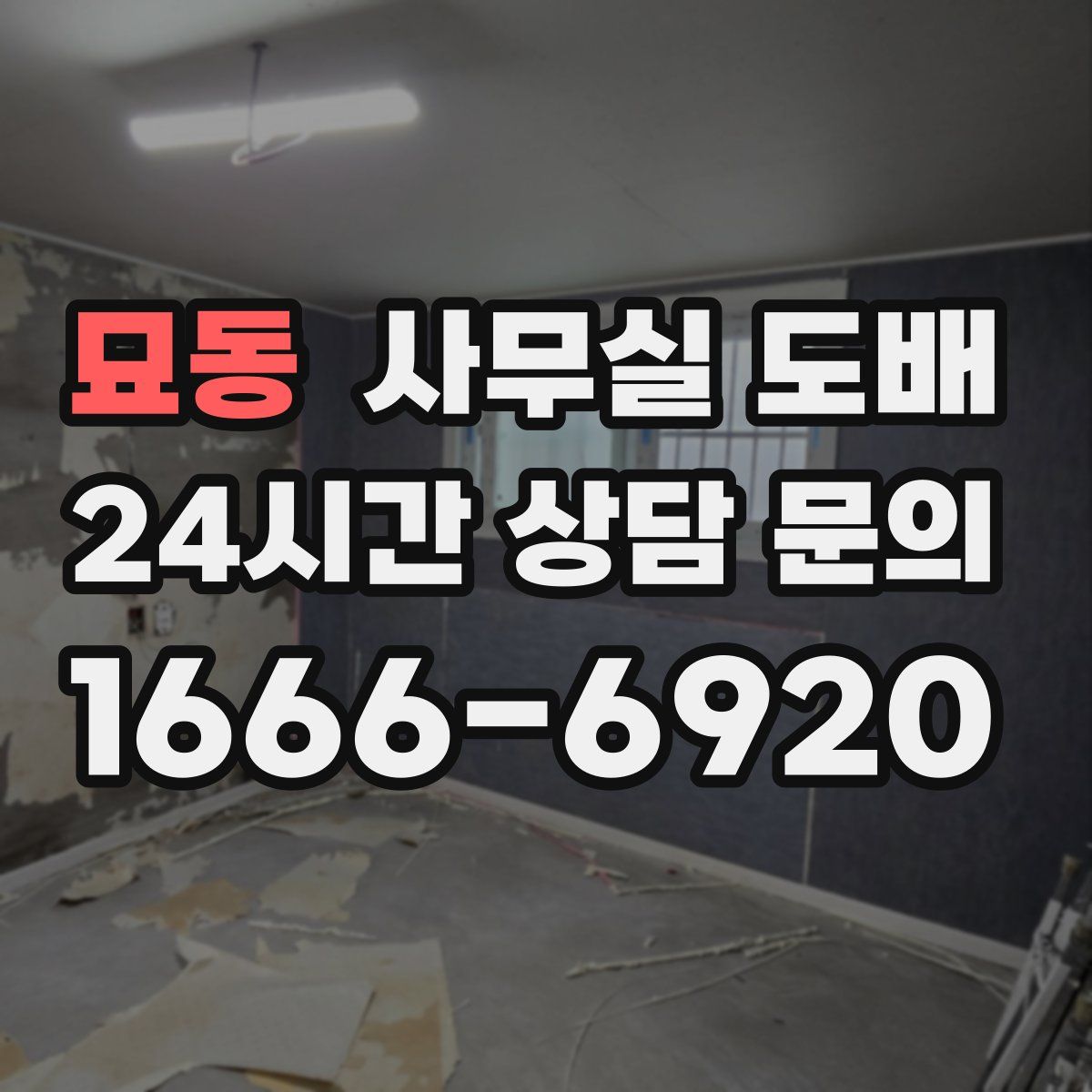 묘동 사무실 도배