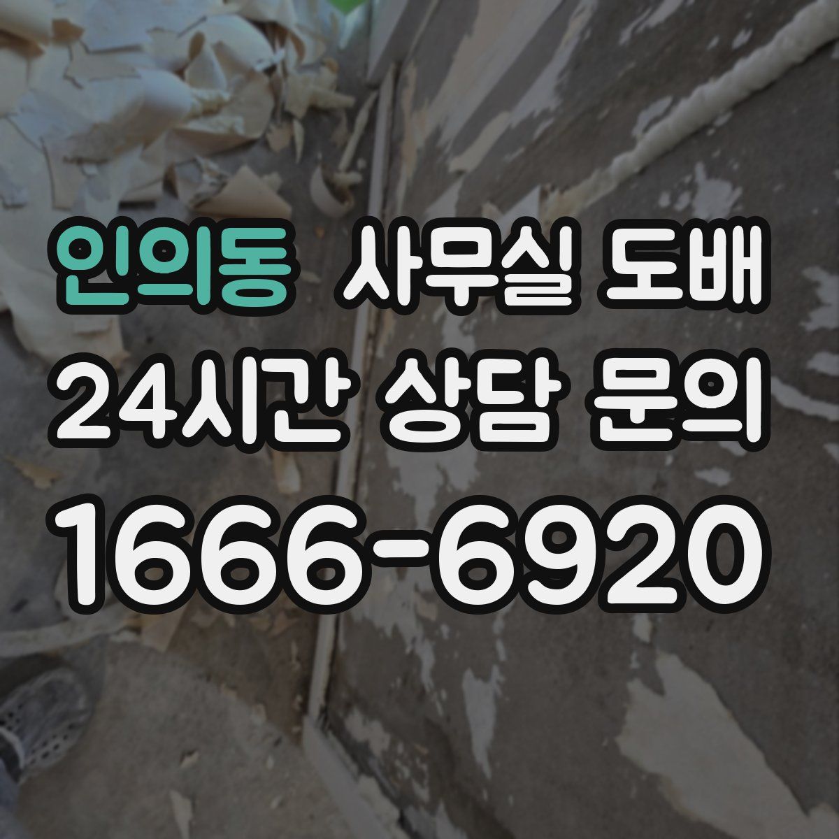 인의동 사무실 도배