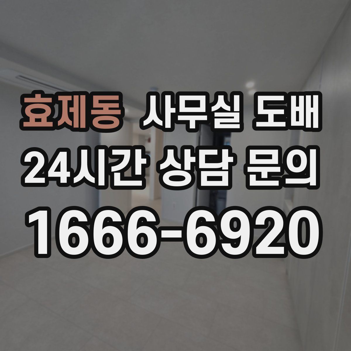 효제동 사무실 도배