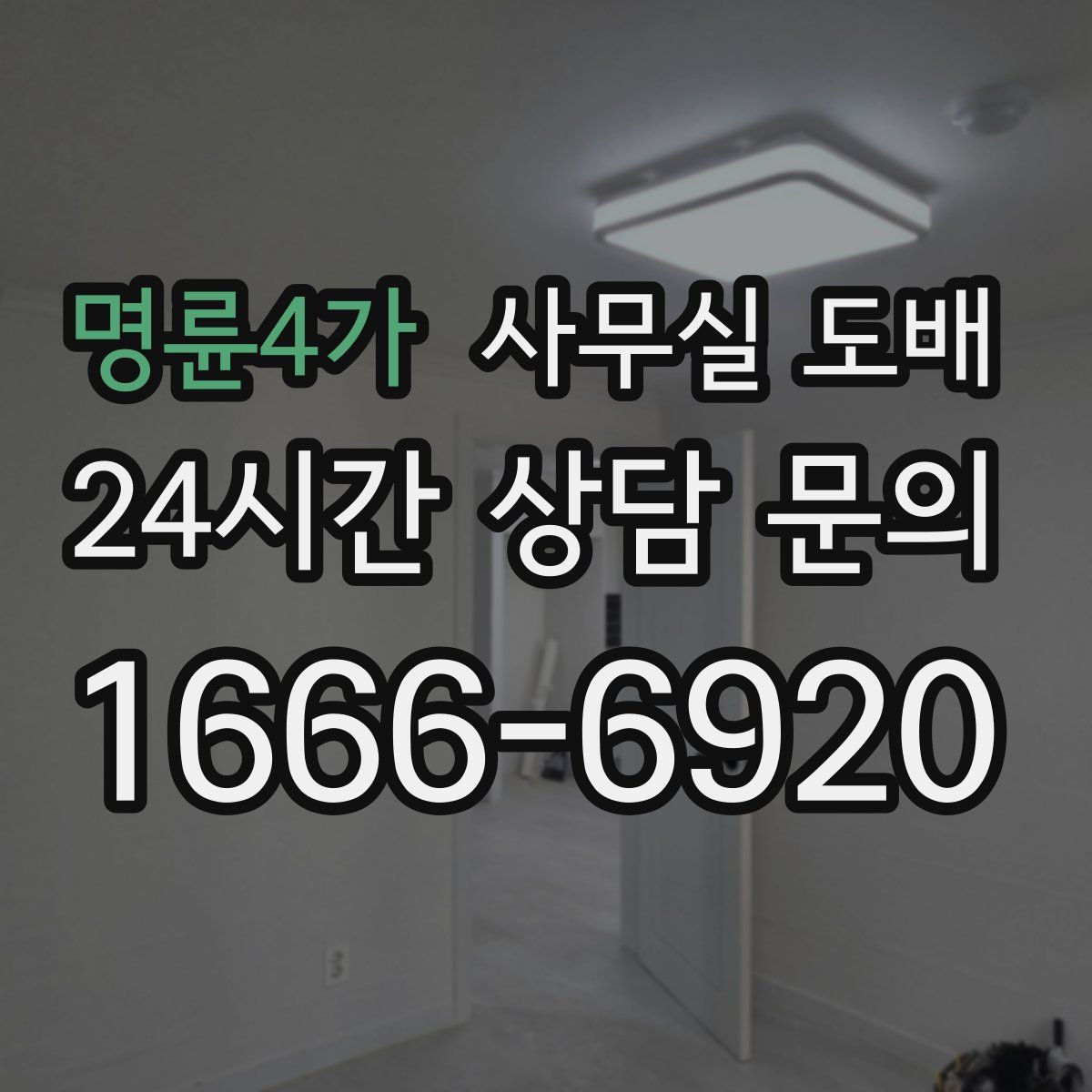 명륜4가 사무실 도배