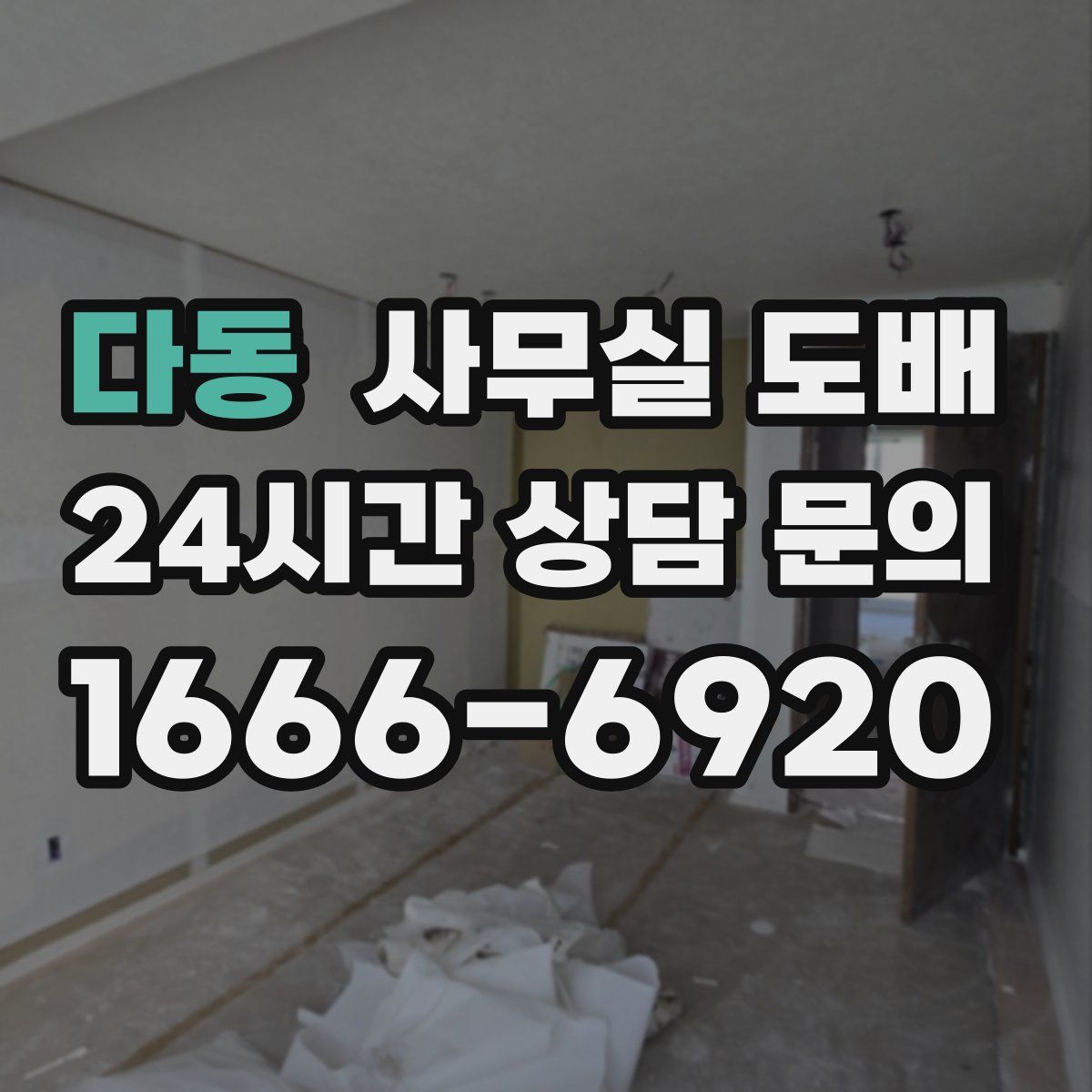 다동 사무실 도배