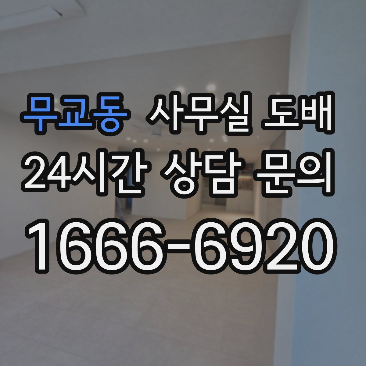 무교동 사무실 도배