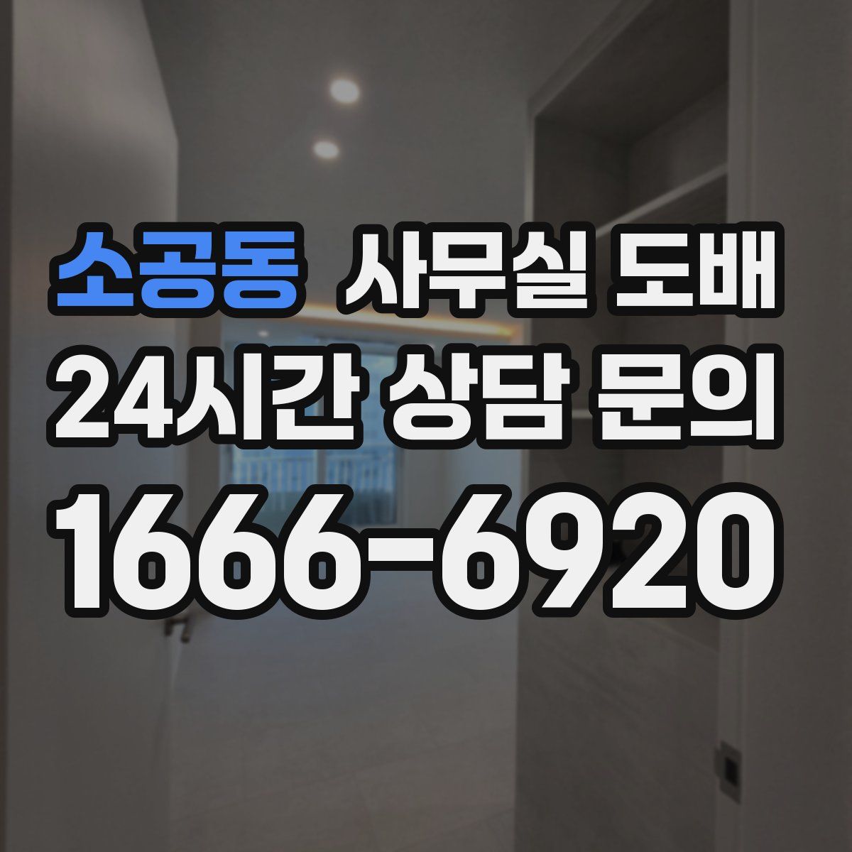 소공동 사무실 도배