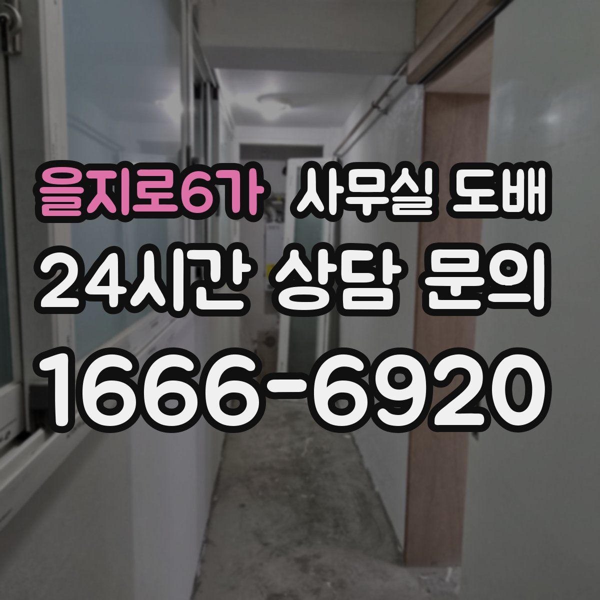 을지로6가 사무실 도배
