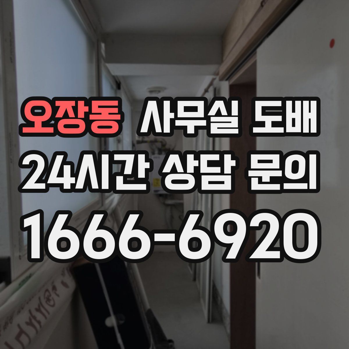 오장동 사무실 도배