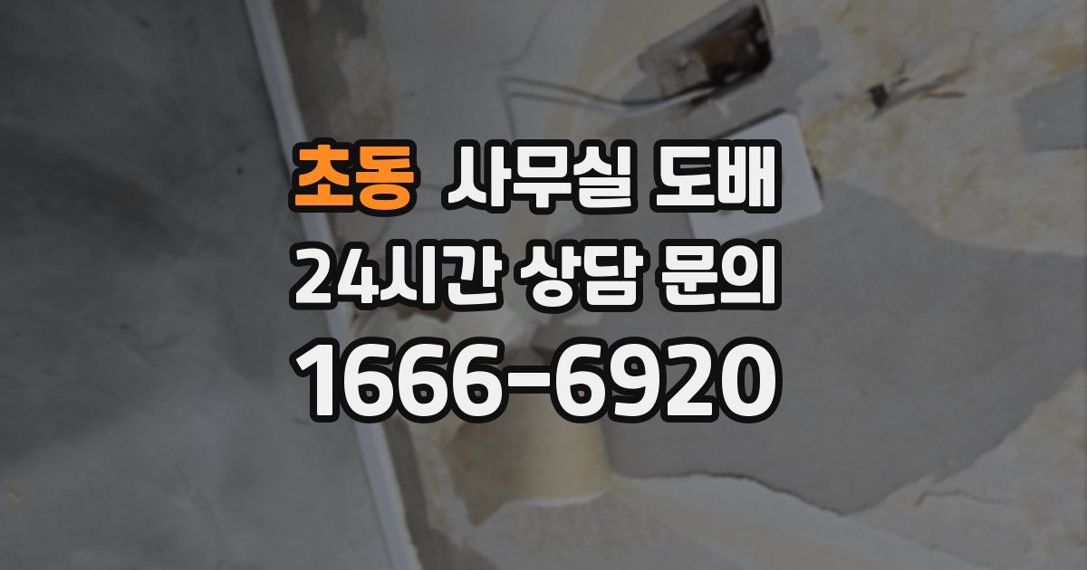 초동 사무실 도배