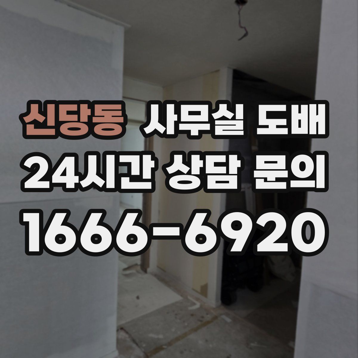 신당동 사무실 도배