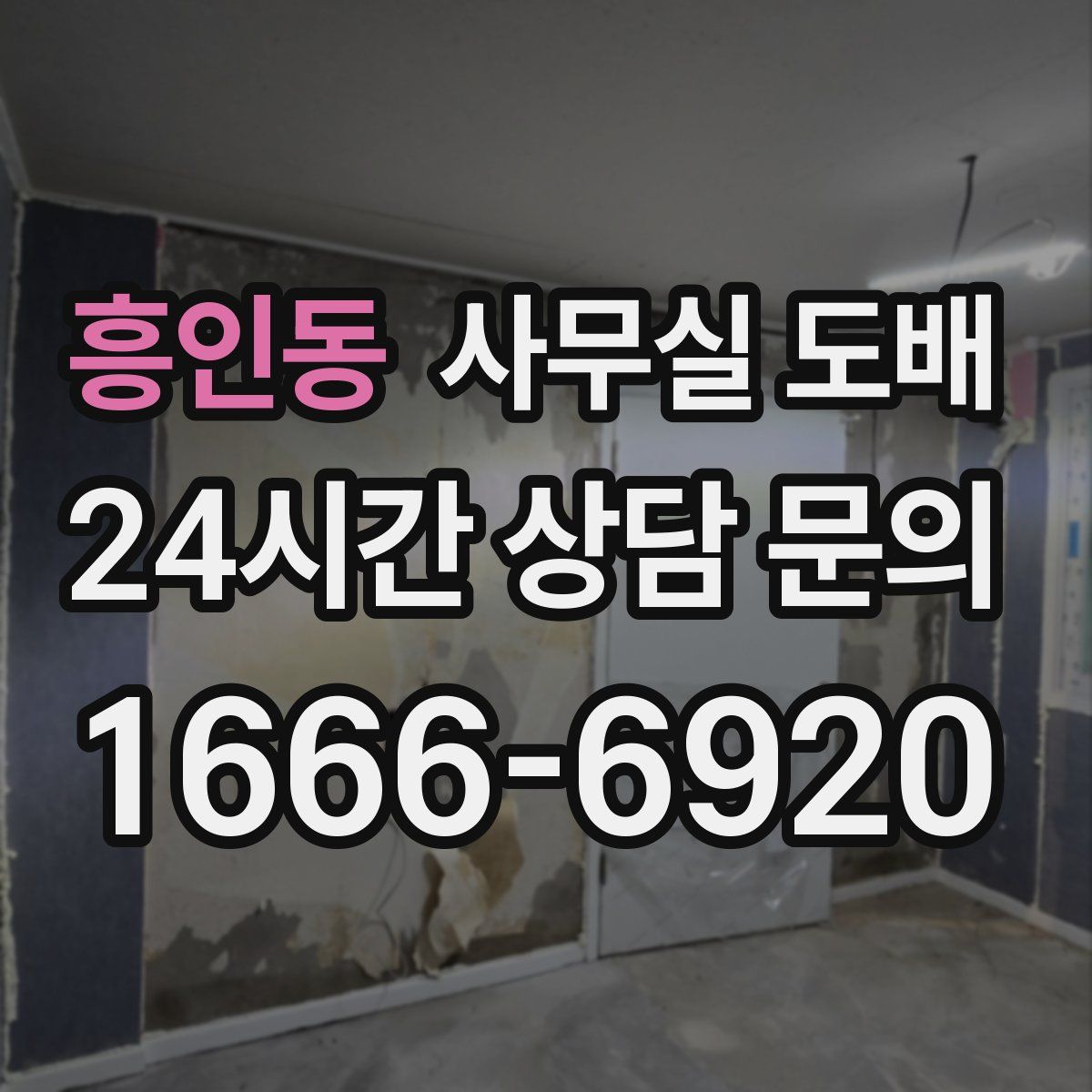 흥인동 사무실 도배