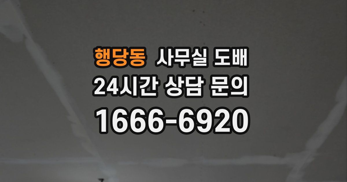 행당동 사무실 도배