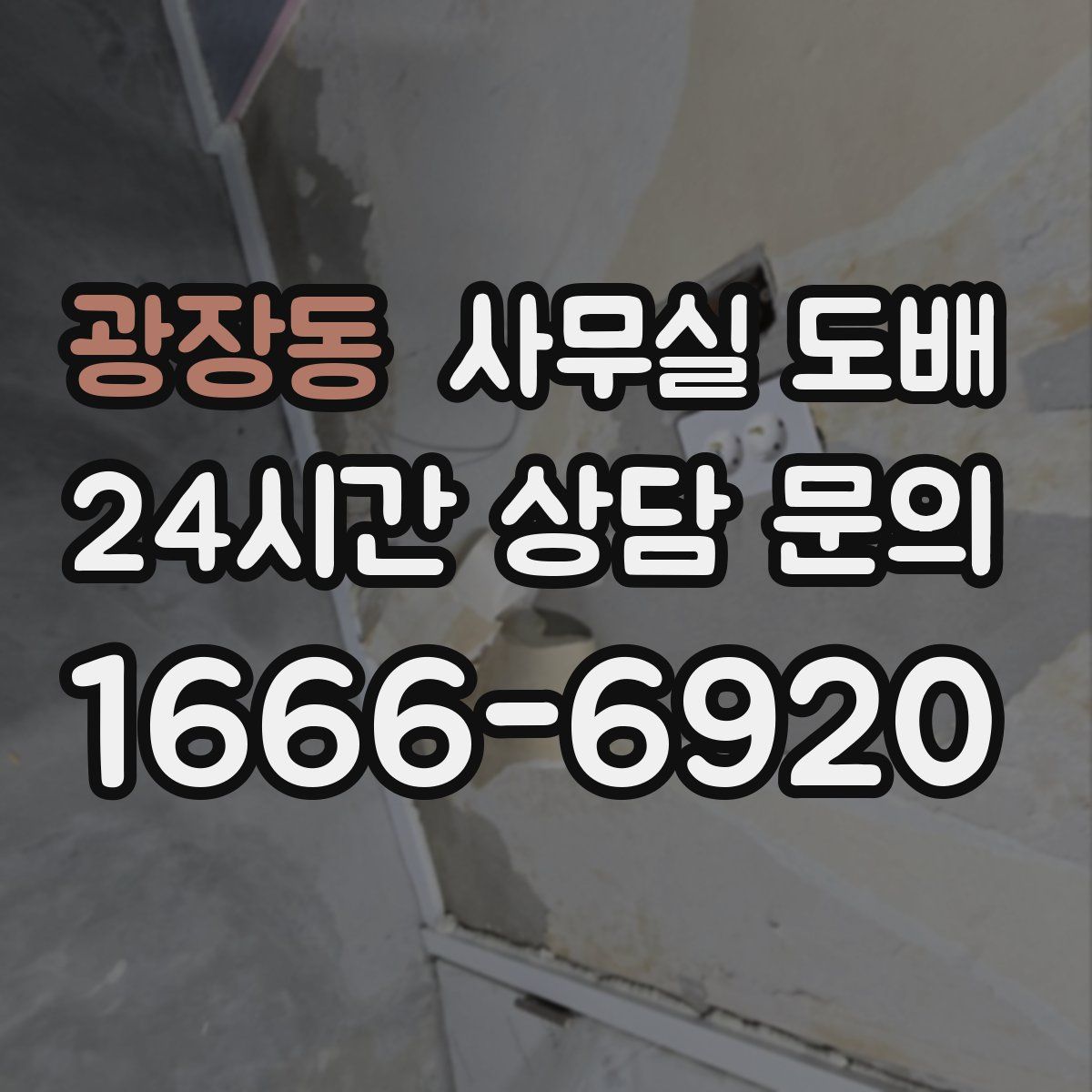 광장동 사무실 도배