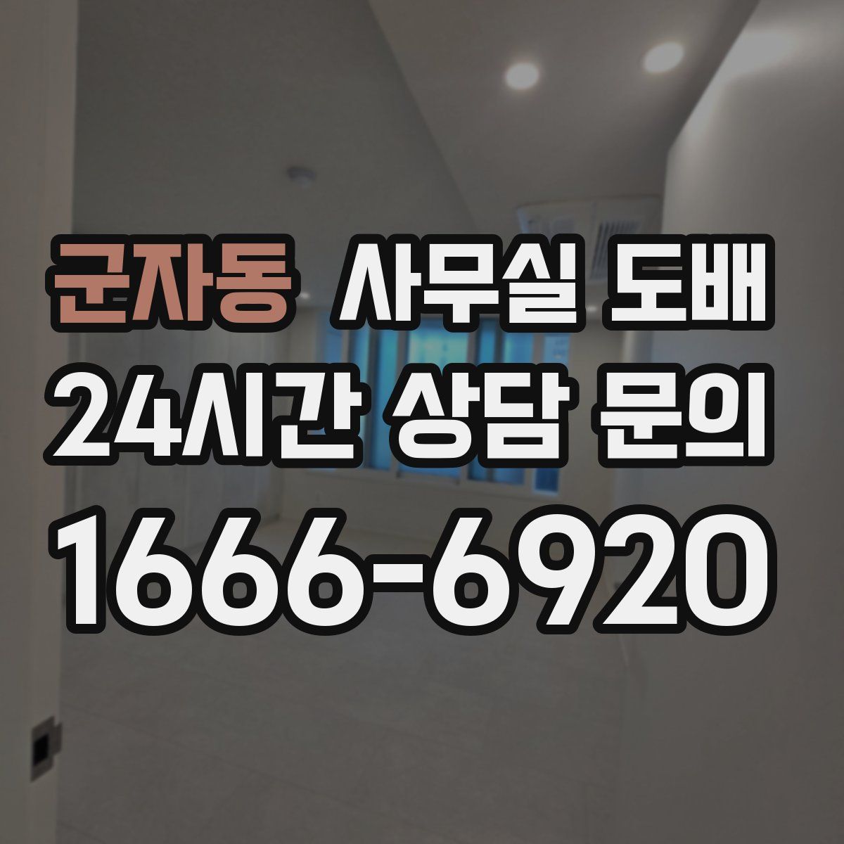 군자동 사무실 도배