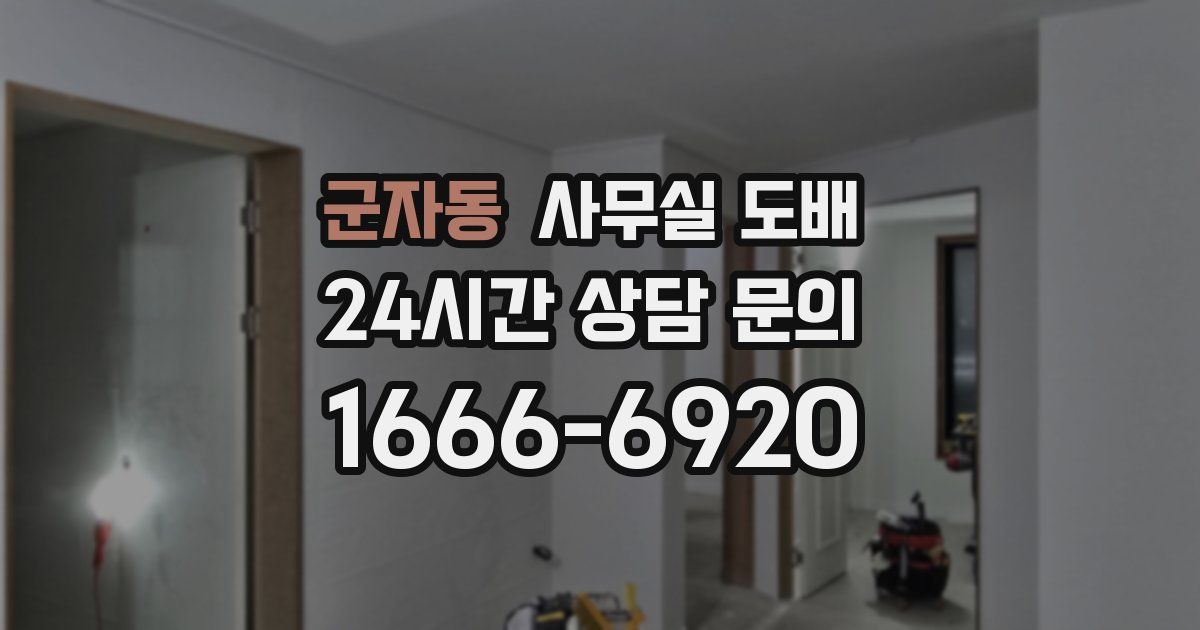 군자동 사무실 도배