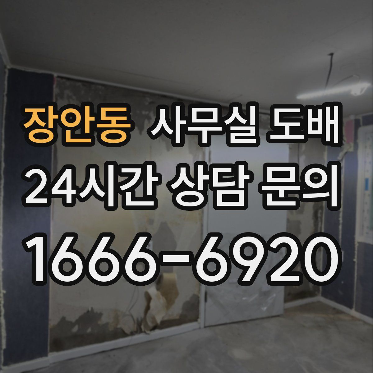 장안동 사무실 도배