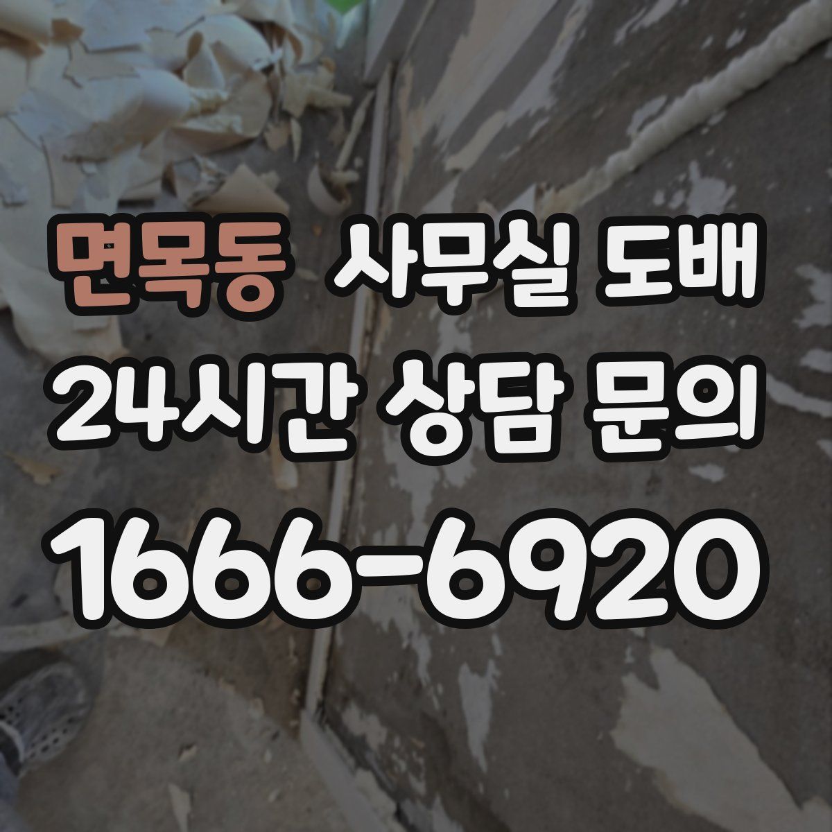 면목동 사무실 도배