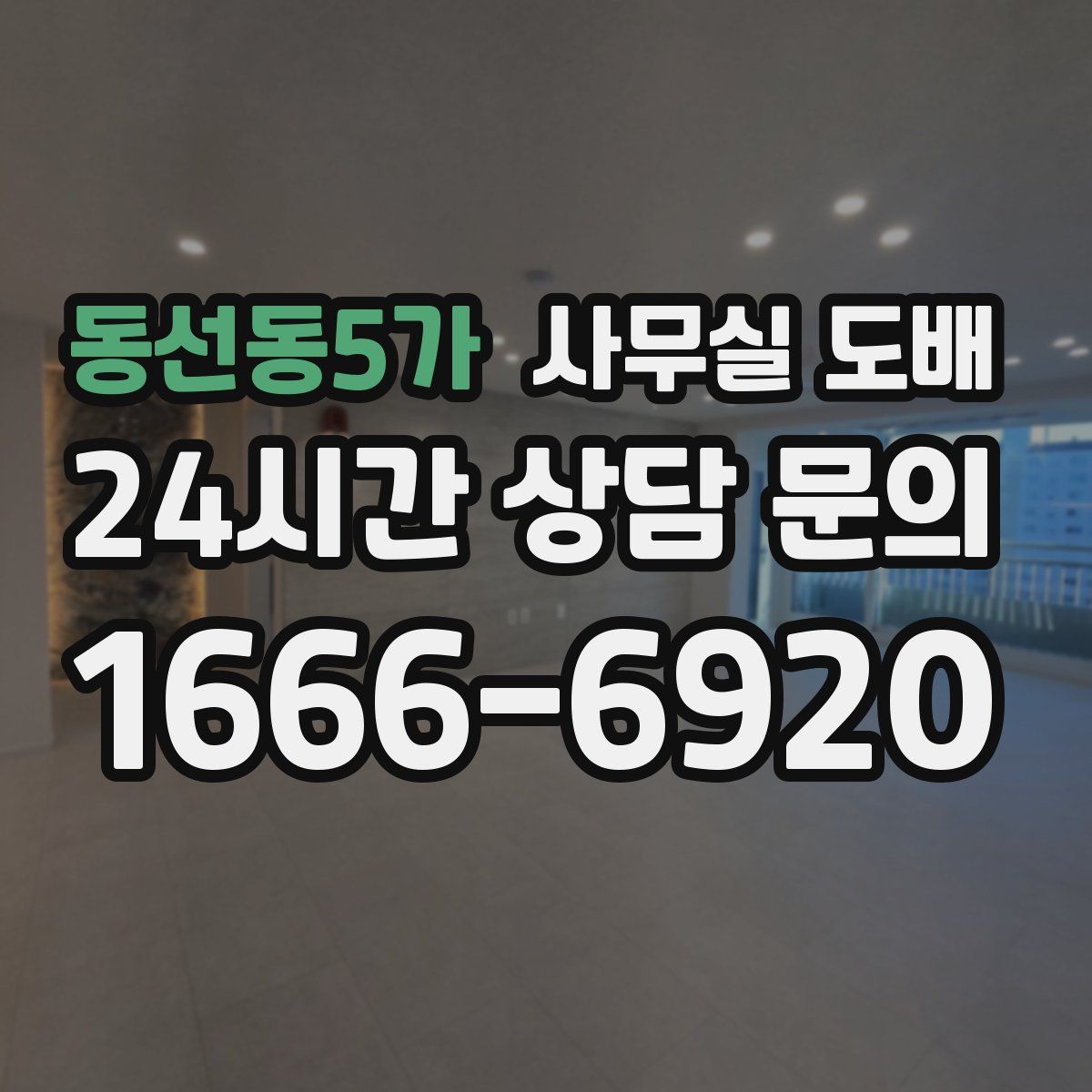 동선동5가 사무실 도배