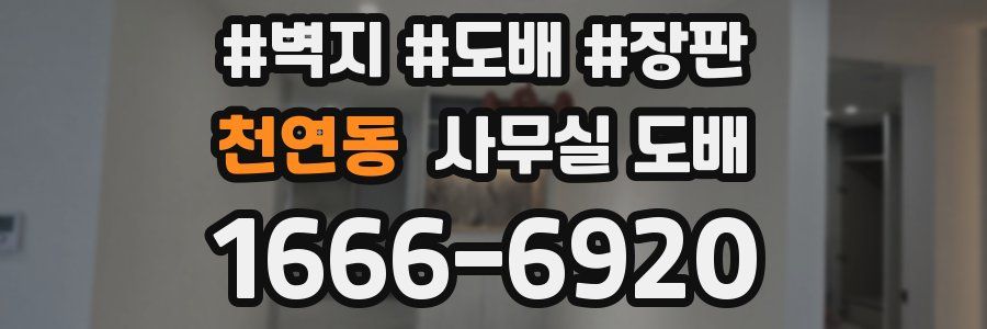천연동 사무실 도배