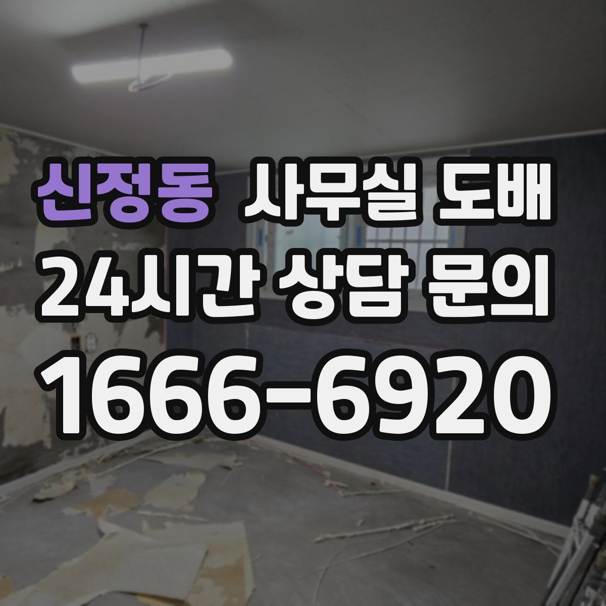 신정동 사무실 도배