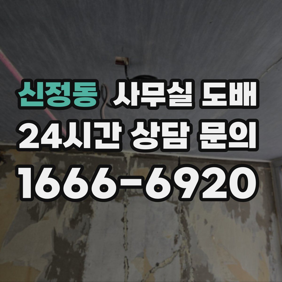 신정동 사무실 도배