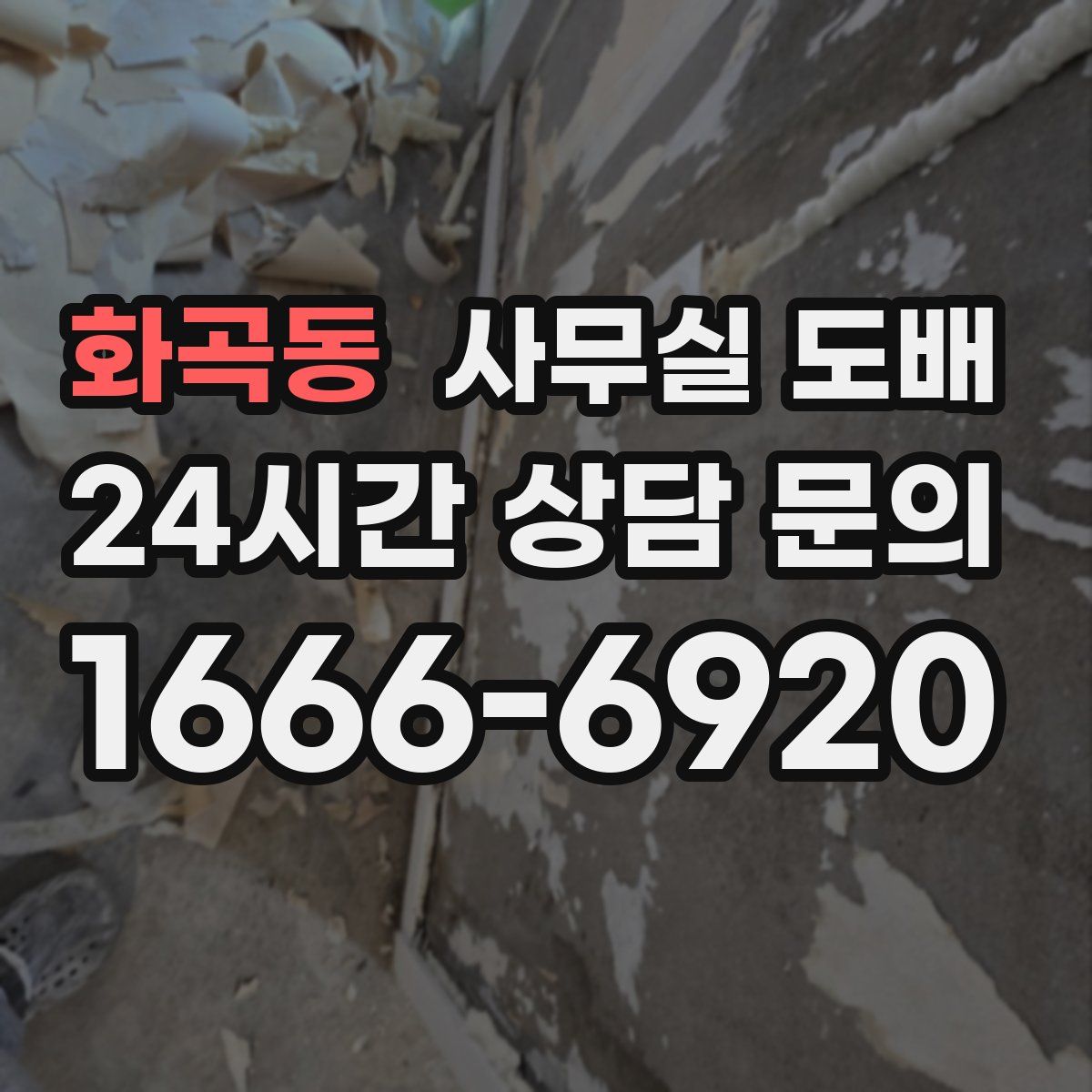 화곡동 사무실 도배