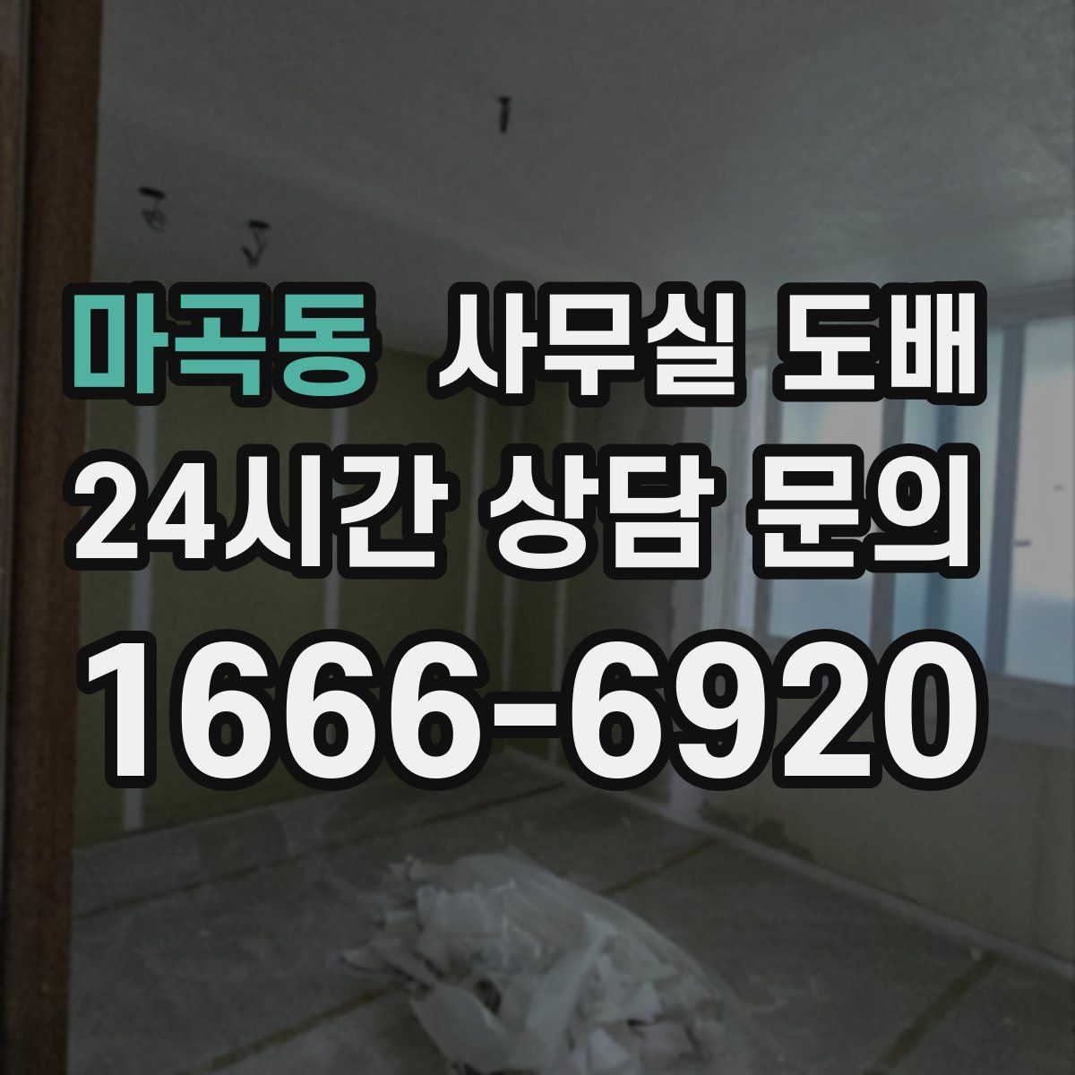 마곡동 사무실 도배